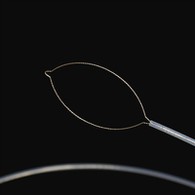 Forceppi dû corpu dû tipu stranieri